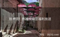 技术流！热搜榜麻豆福利放送