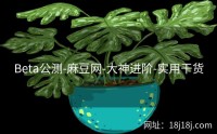 Beta公测-麻豆网-大神进阶-实用干货