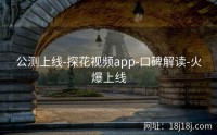 公测上线-探花视频app-口碑解读-火爆上线