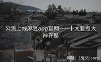 公测上线麻豆app官网——十大看点大神齐聚