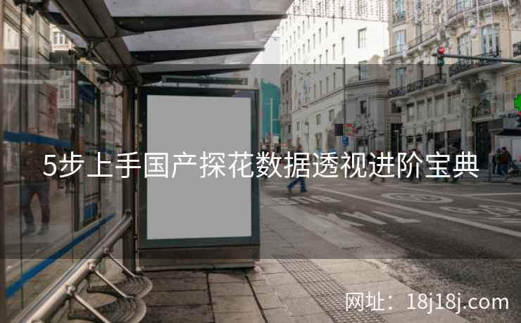 5步上手国产探花数据透视进阶宝典
