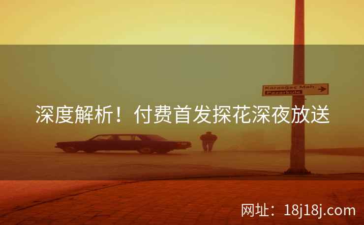 深度解析！付费首发探花深夜放送