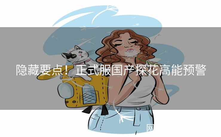 隐藏要点！正式服国产探花高能预警