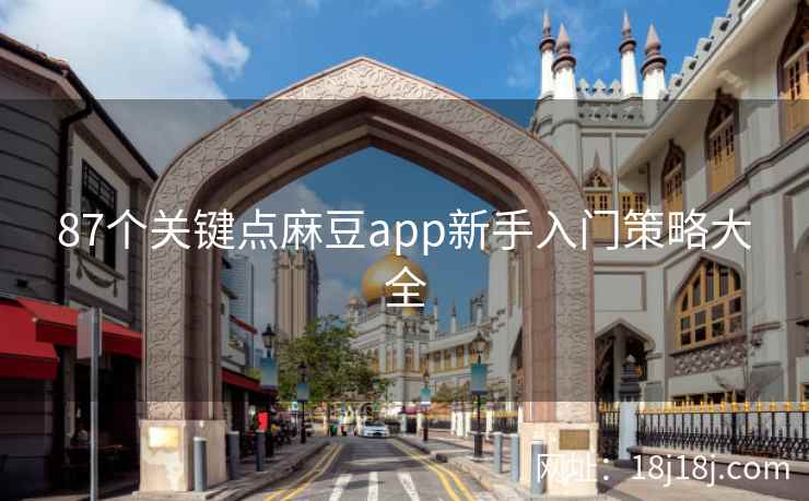 87个关键点麻豆app新手入门策略大全