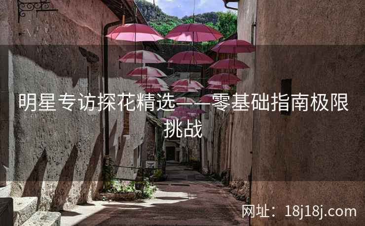 明星专访探花精选——零基础指南极限挑战 明星专访探花精选——零基础指南极限挑战