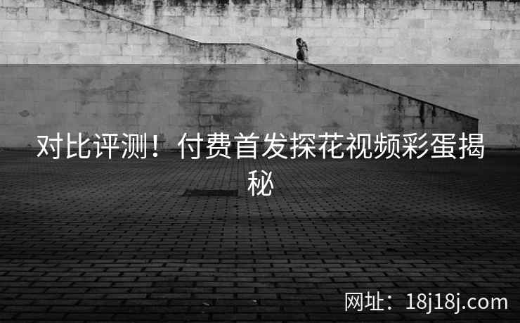 对比评测!付费首发探花视频彩蛋揭秘 对比评测!付费首发探花视频彩蛋揭秘