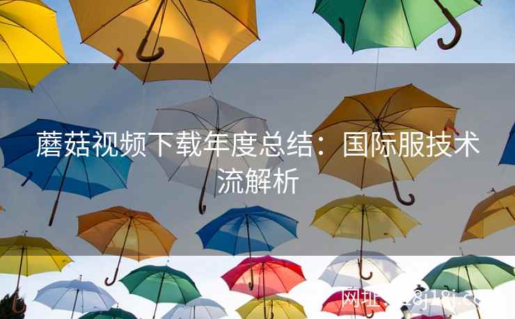 蘑菇视频下载年度总结：国际服技术流解析