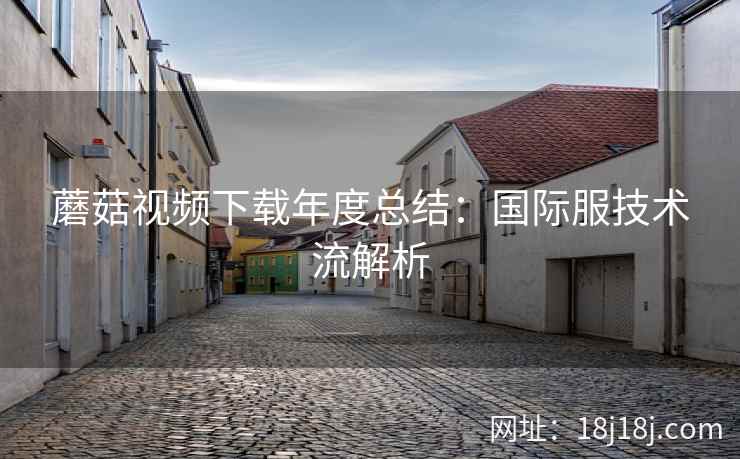 蘑菇视频下载年度总结：国际服技术流解析