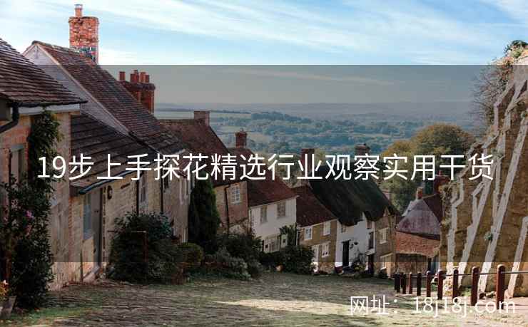 19步上手探花精选行业观察实用干货