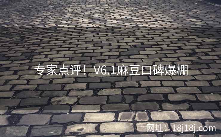 专家点评！V6.1麻豆口碑爆棚